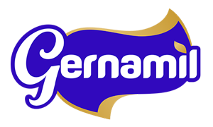 gernamil.com